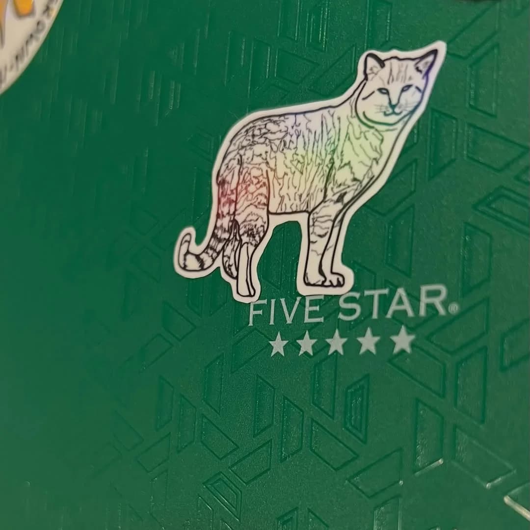 Momo holographic sticker on a green notebook