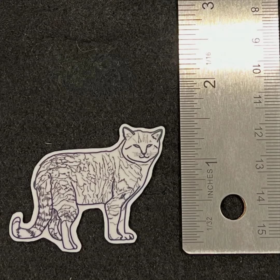 Momo sticker beside a ruler showing its height